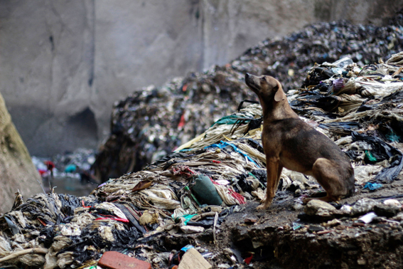 MINEROS DE BASURA / Josué Decavele  ( Colección Área Vacante Latinoamérica )  