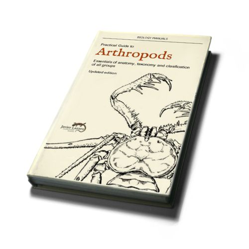 Arthropods