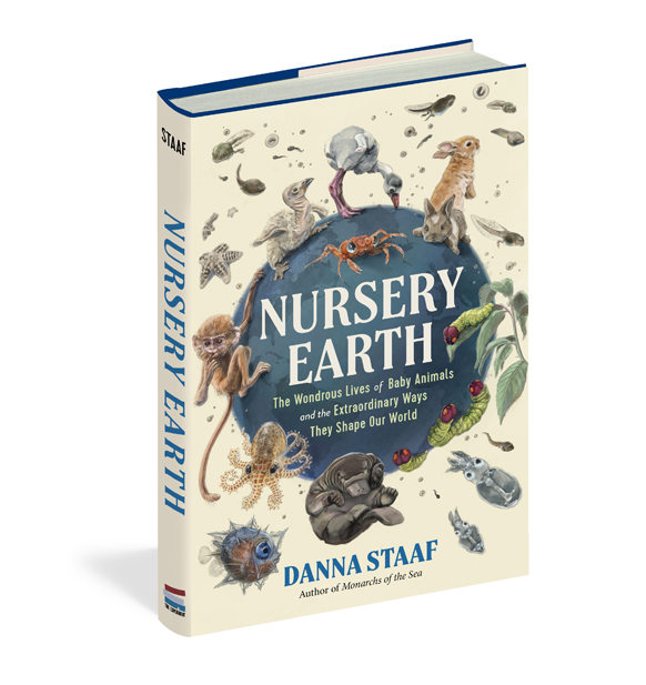 Nursery Earth