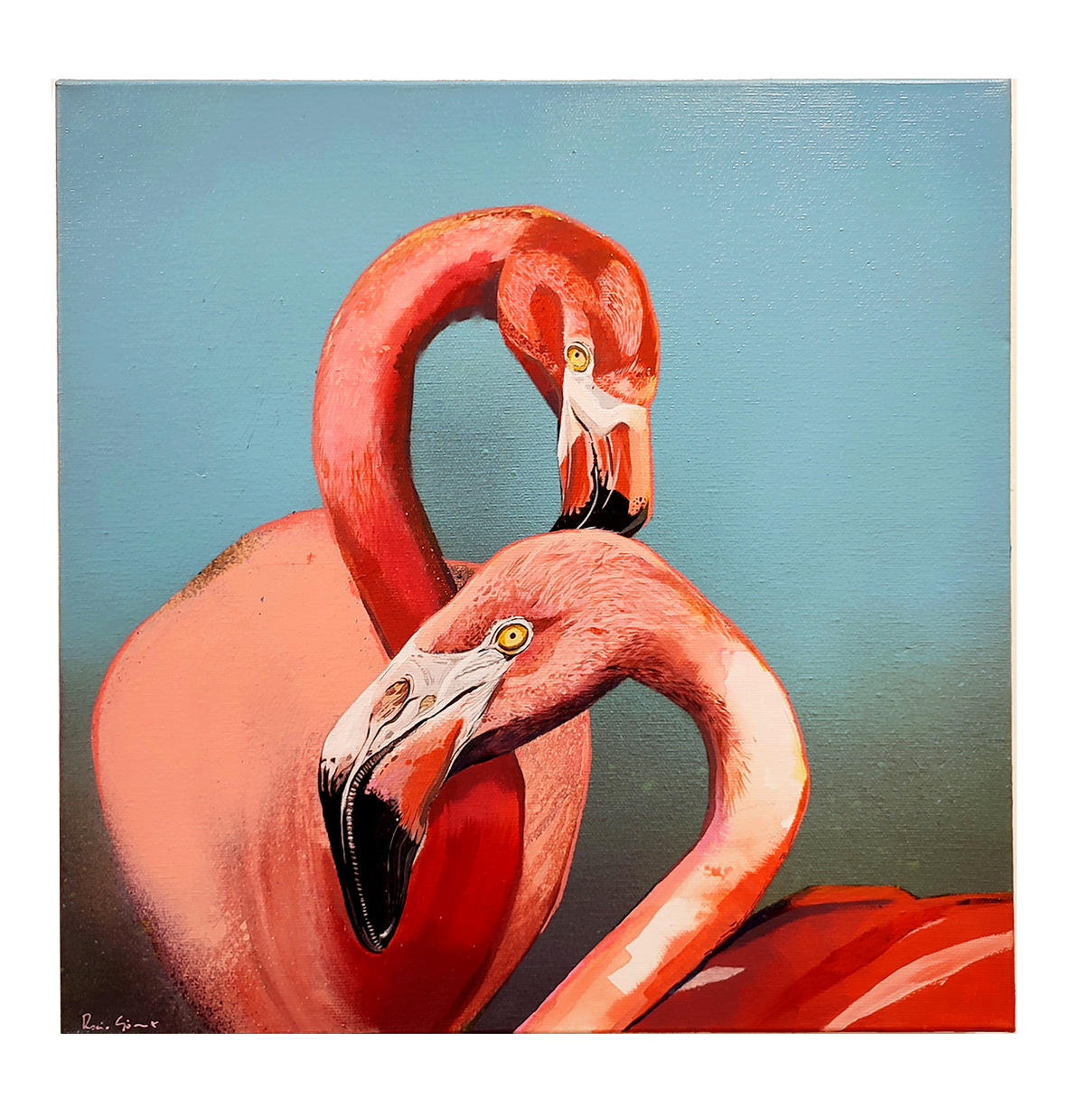 Pareja de flamencos